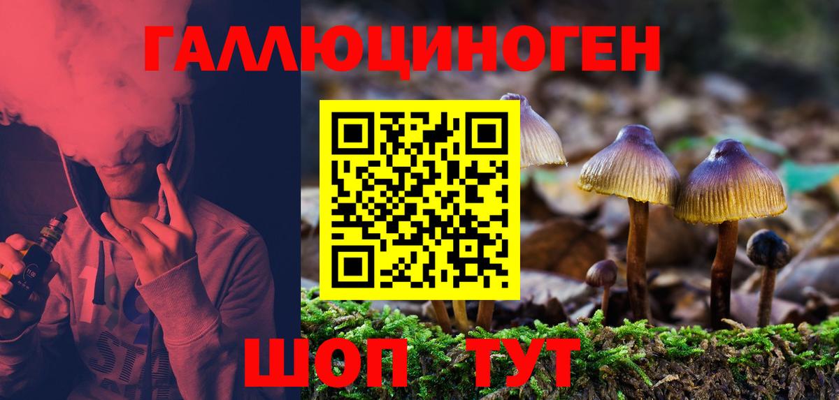 Галлюциногенные грибы прущие грибы Тамбов
