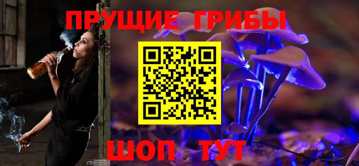 Тамбов  Псилоцибиновые грибы мухоморы  Галлюциногенные грибы Psilocybine cubensis  Вход с VPN 