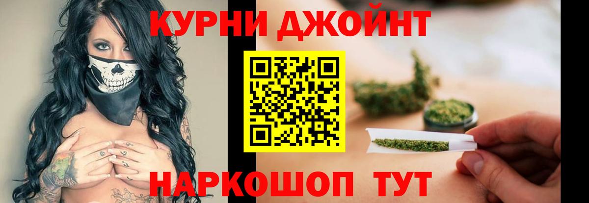 Галлюциногенные грибы Тамбов